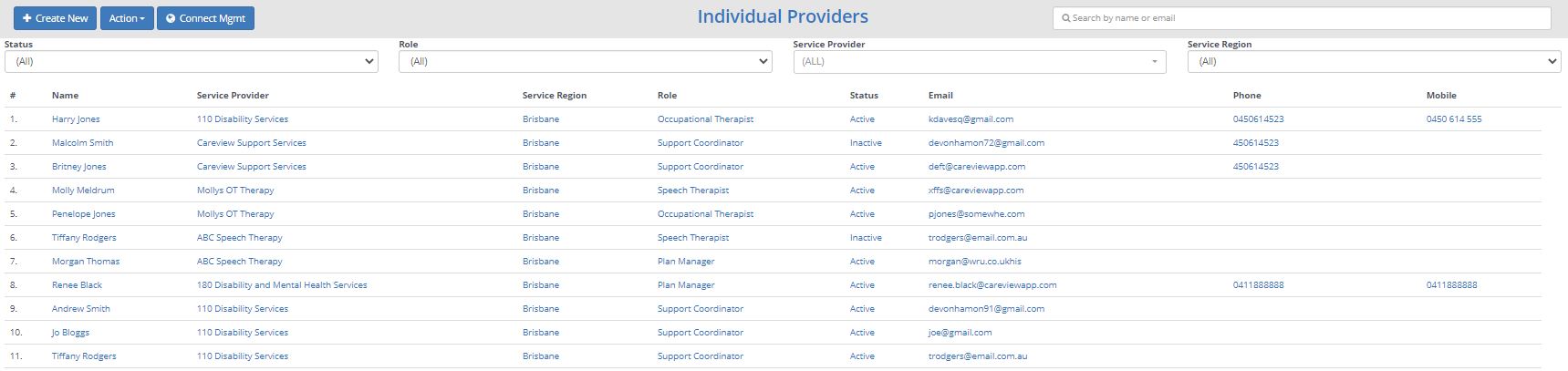 Careview Connect - Security