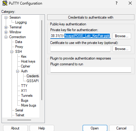 A screenshot of a computerDescription automatically generated
