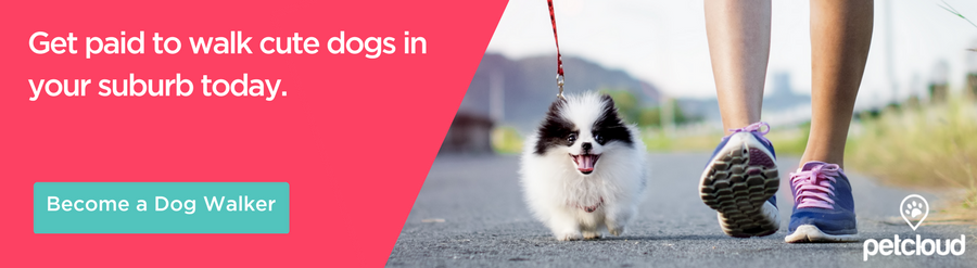 Dog Walking Jobs Near Me