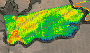 A satellite image of a field

AI-generated content may be incorrect., Picture