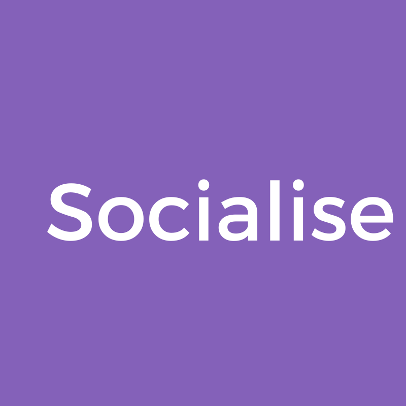 Discover Socialise: The Feature to Connect You Spontaneously on Laterz ...